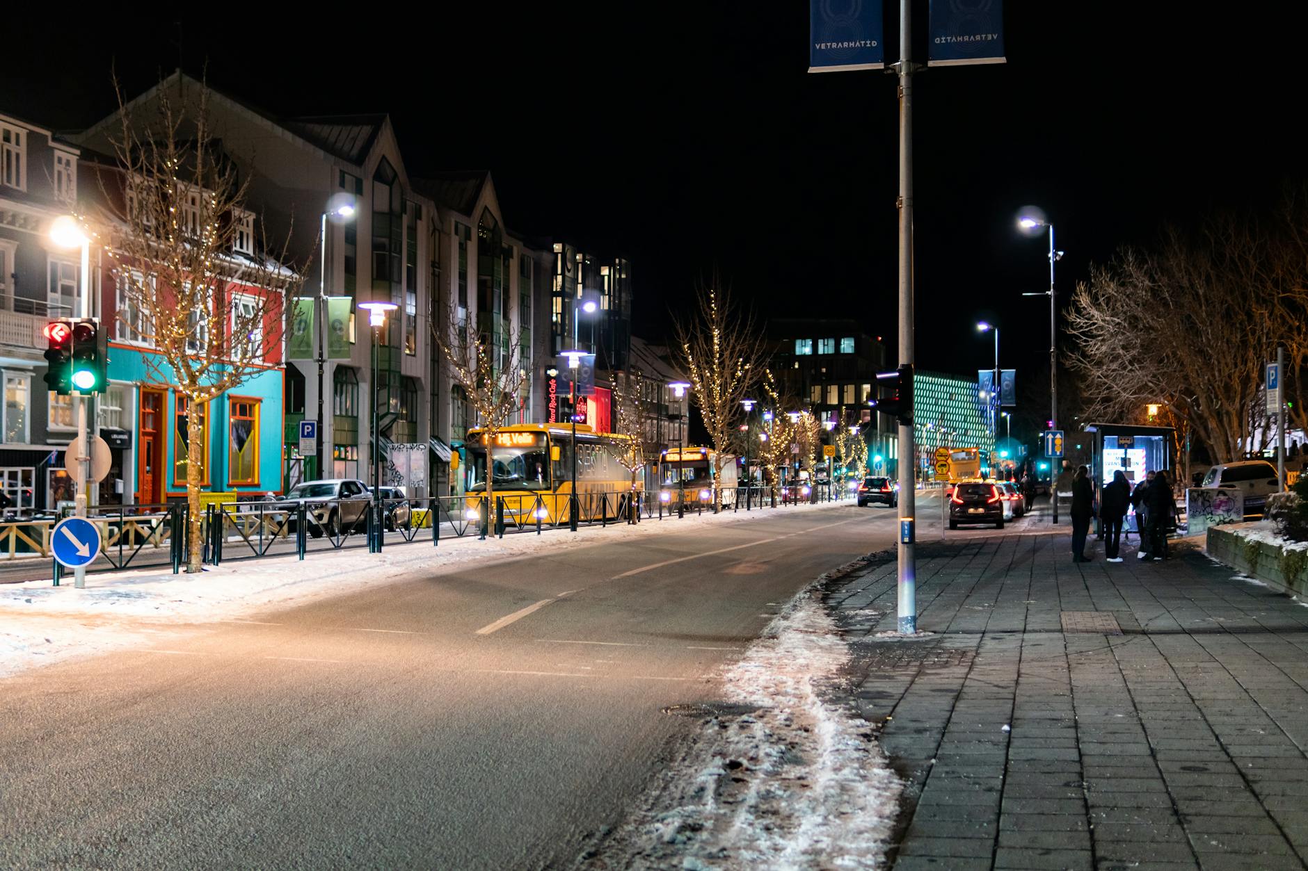 Best Things to Do in Reykjavik at Night